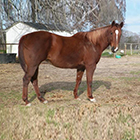 Remember The Promise